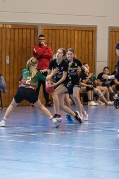 Bild 225 - wDJ HSG Kremperheide/Muensterdorf - TSV SR Schuelp : Ergebnis: 26:5